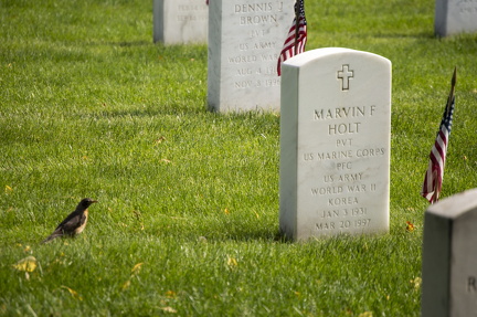 Dayton, Ohio National Cemetery - Memorial Day 2019