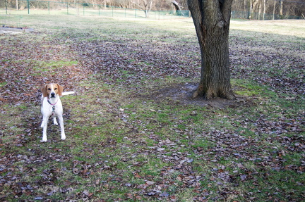 Penny looking at camera