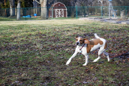 Penny running