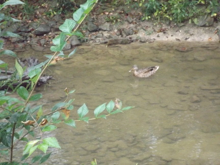 October 2018 - Dayton Metro park