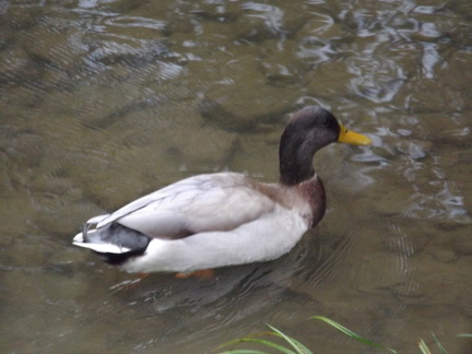 October 2018 - Dayton Metro park