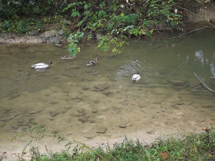 October 2018 - Dayton Metro park