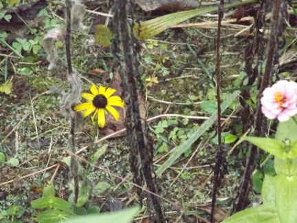 October 2018 - Dayton Metro park