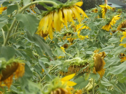 October 2018 - Dayton Metro park