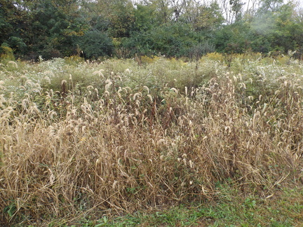 October 2018 - Dayton Metro park