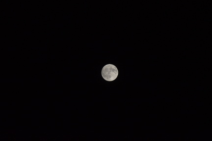 DSC 0744
