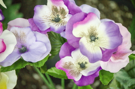 53 edited-1